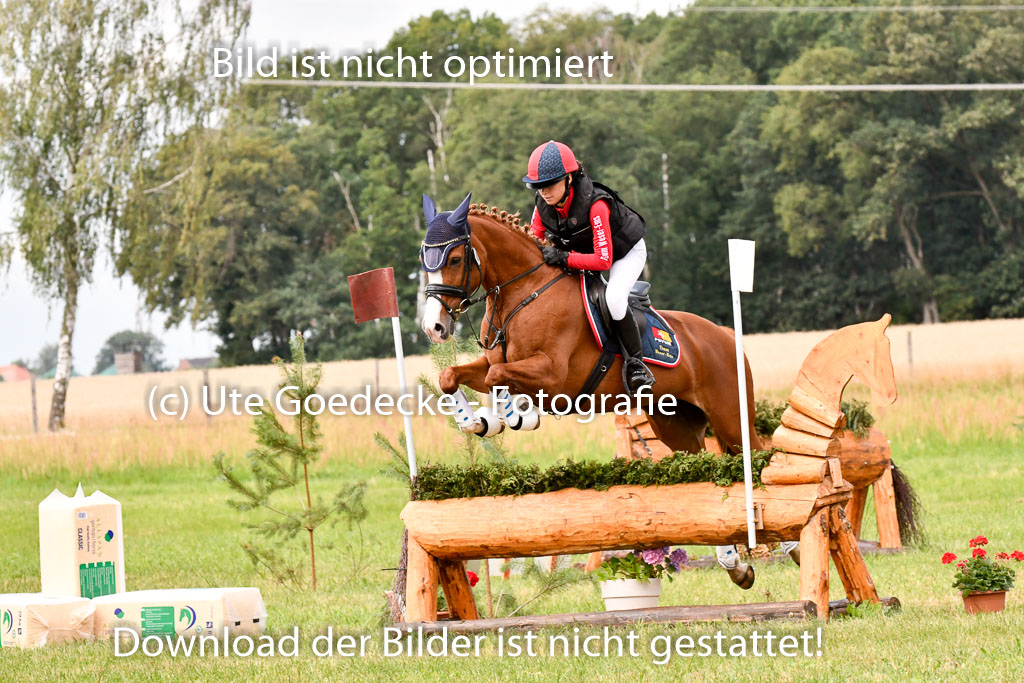 Goldene Schärpe Ponys in Hohenberg Krusemark 2024 | 13072024 Gelände 1 Abt_687