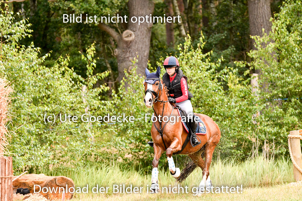Goldene Schärpe Ponys in Hohenberg Krusemark 2024 | 13072024 Gelände 1 Abt_688