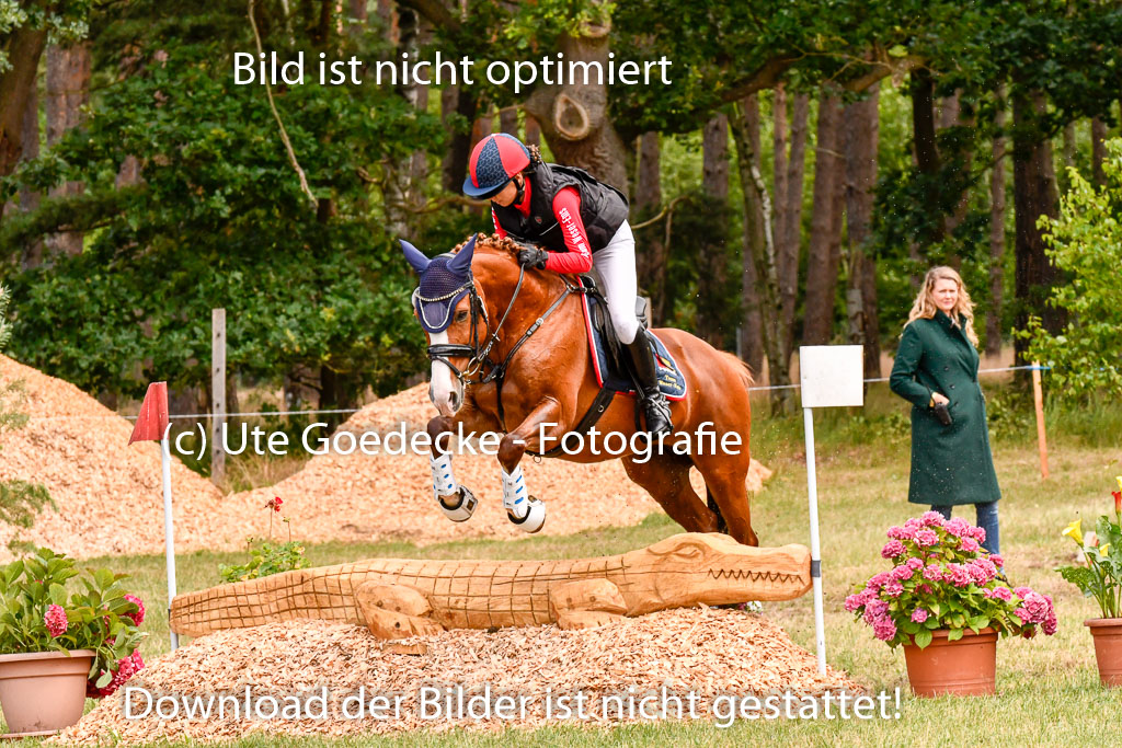 Goldene Schärpe Ponys in Hohenberg Krusemark 2024 | 13072024 Gelände 1 Abt_689