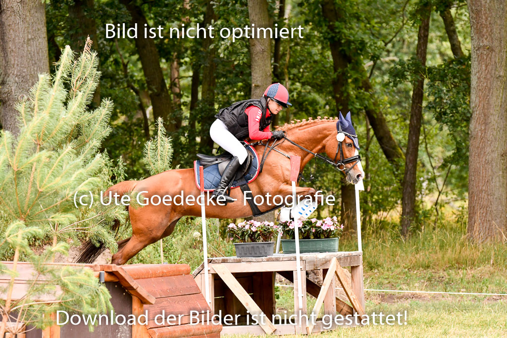 Goldene Schärpe Ponys in Hohenberg Krusemark 2024 | 13072024 Gelände 1 Abt_690