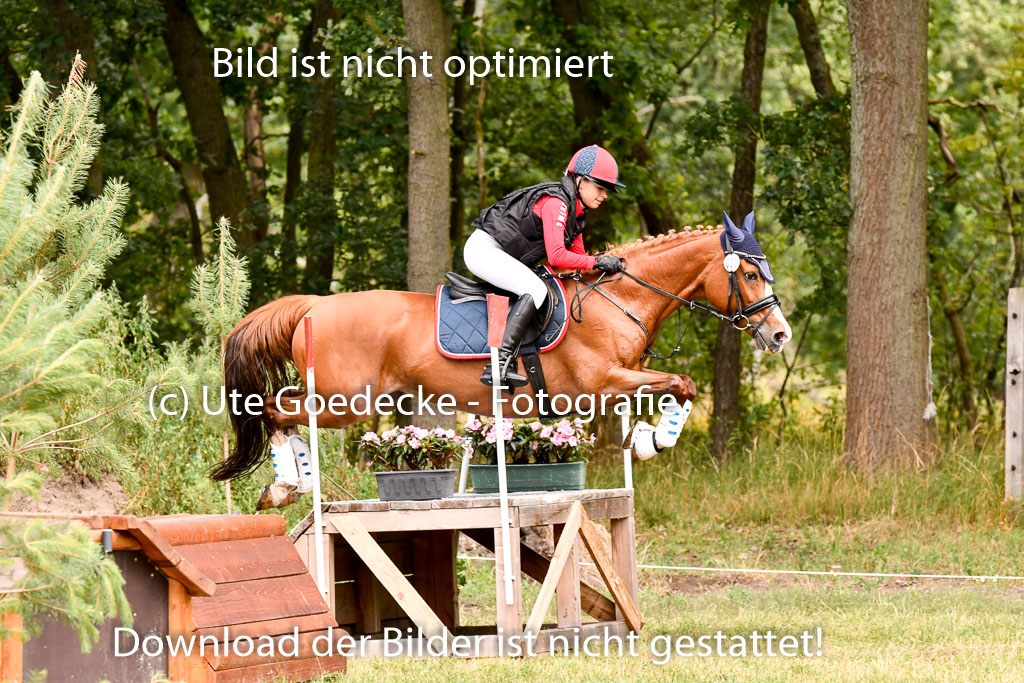 Goldene Schärpe Ponys in Hohenberg Krusemark 2024 | 13072024 Gelände 1 Abt_691
