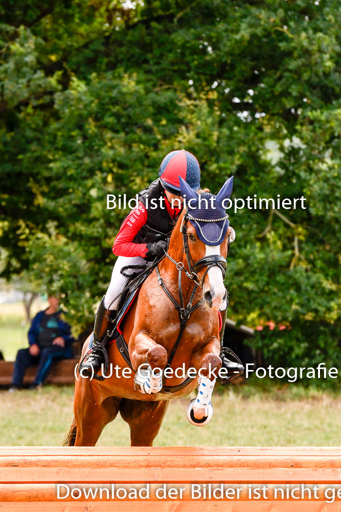 Goldene Schärpe Ponys in Hohenberg Krusemark 2024 | 13072024 Gelände 1 Abt_694
