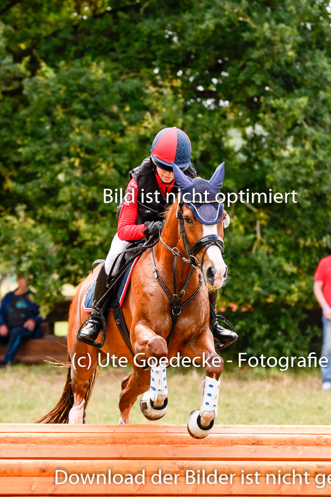 Goldene Schärpe Ponys in Hohenberg Krusemark 2024 | 13072024 Gelände 1 Abt_695