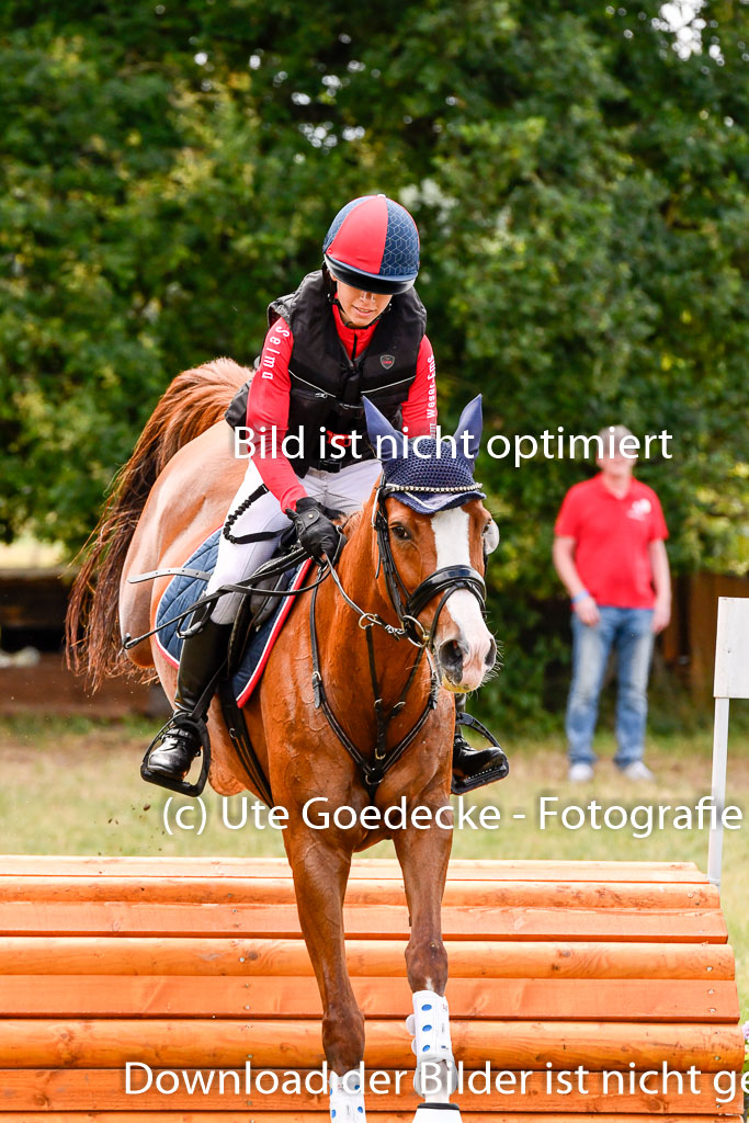 Goldene Schärpe Ponys in Hohenberg Krusemark 2024 | 13072024 Gelände 1 Abt_696