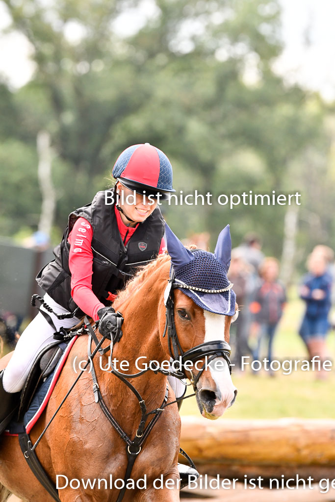 Goldene Schärpe Ponys in Hohenberg Krusemark 2024 | 13072024 Gelände 1 Abt_698