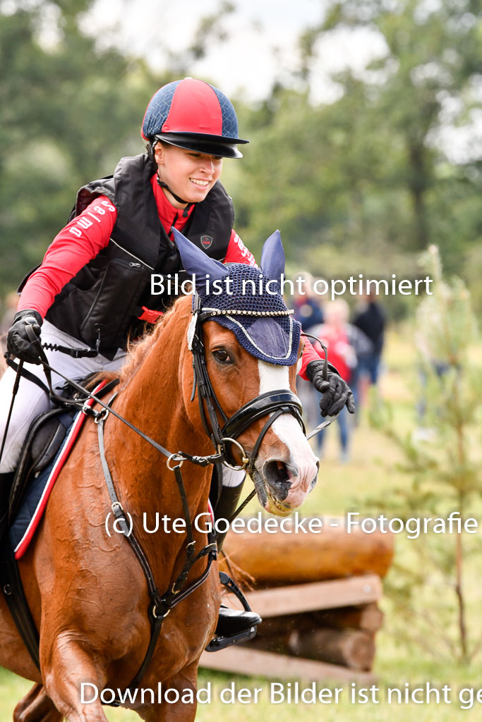 Goldene Schärpe Ponys in Hohenberg Krusemark 2024 | 13072024 Gelände 1 Abt_699