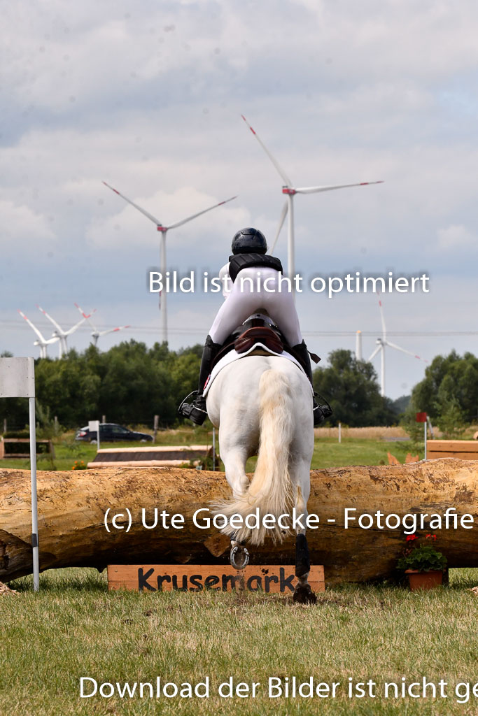 Goldene Schärpe Ponys in Hohenberg Krusemark 2024 | 13072024 Gelände 1 Abt_704