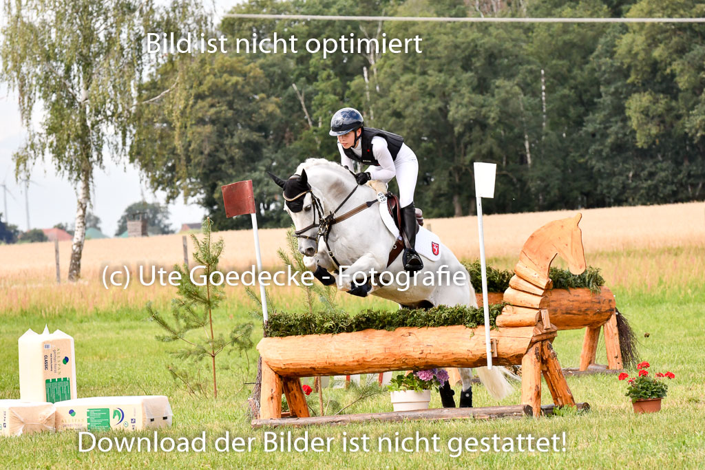 Goldene Schärpe Ponys in Hohenberg Krusemark 2024 | 13072024 Gelände 1 Abt_705
