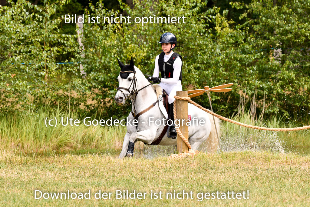 Goldene Schärpe Ponys in Hohenberg Krusemark 2024 | 13072024 Gelände 1 Abt_707