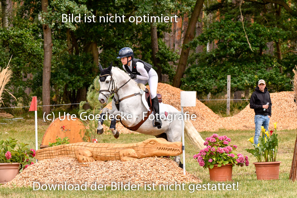 Goldene Schärpe Ponys in Hohenberg Krusemark 2024 | 13072024 Gelände 1 Abt_709