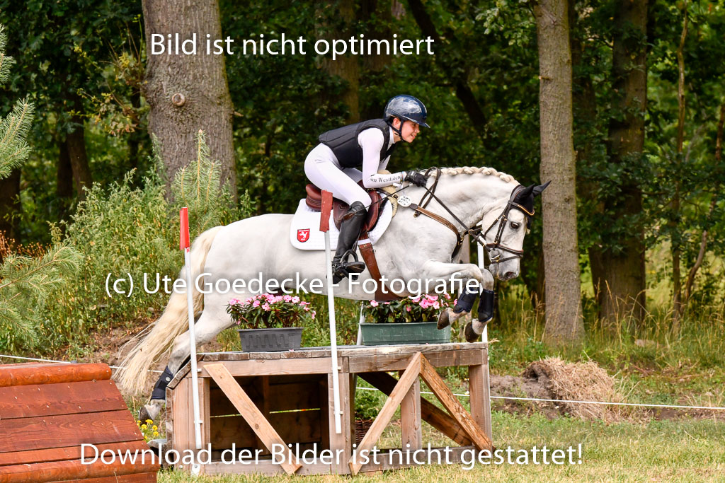 Goldene Schärpe Ponys in Hohenberg Krusemark 2024 | 13072024 Gelände 1 Abt_712