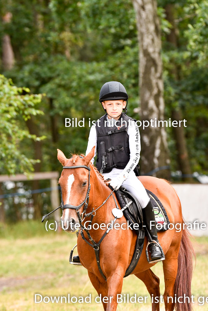 Goldene Schärpe Ponys in Hohenberg Krusemark 2024 | 13072024 Gelände 1 Abt_713