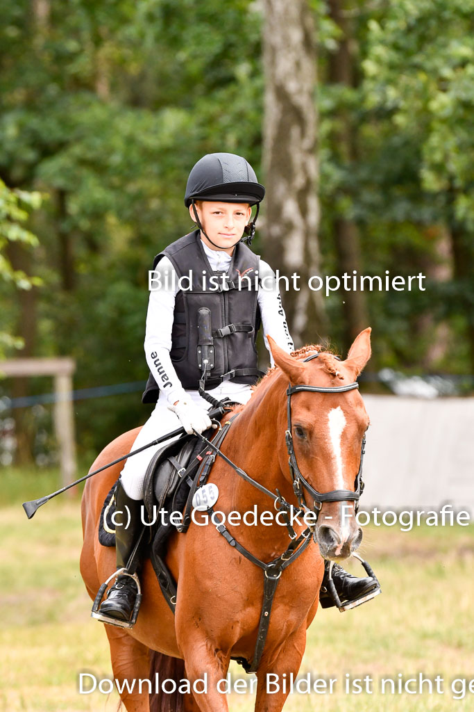 Goldene Schärpe Ponys in Hohenberg Krusemark 2024 | 13072024 Gelände 1 Abt_715