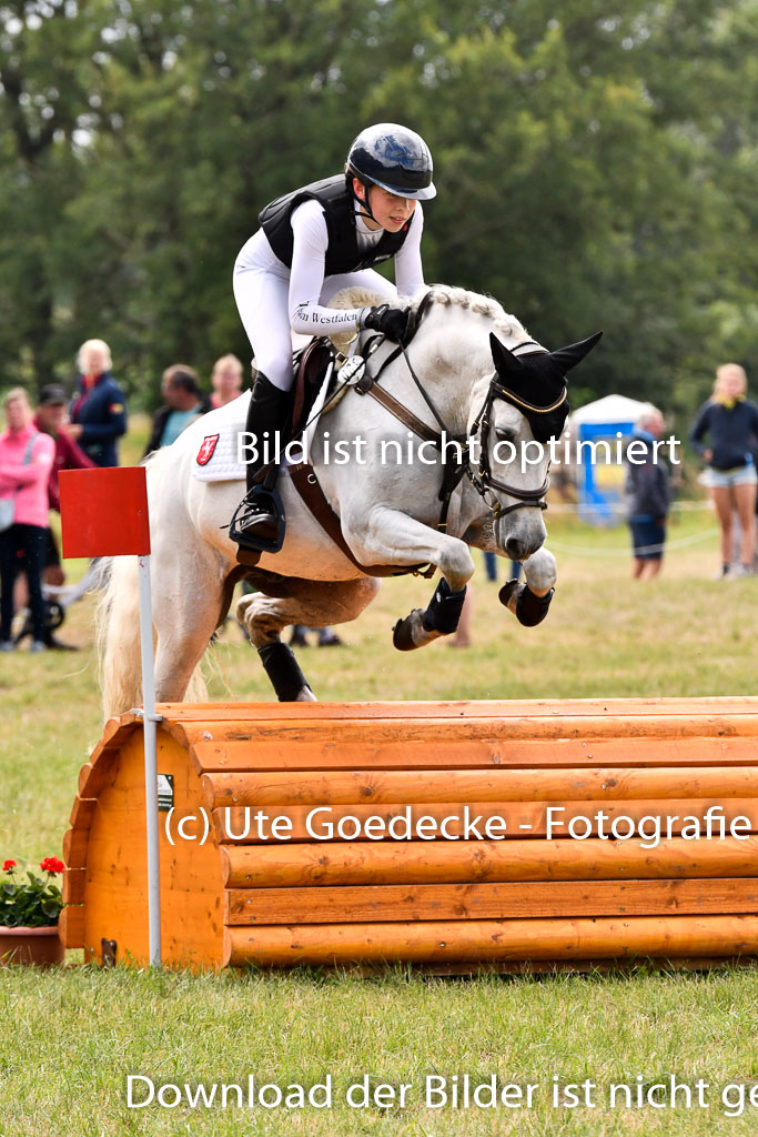 Goldene Schärpe Ponys in Hohenberg Krusemark 2024 | 13072024 Gelände 1 Abt_716