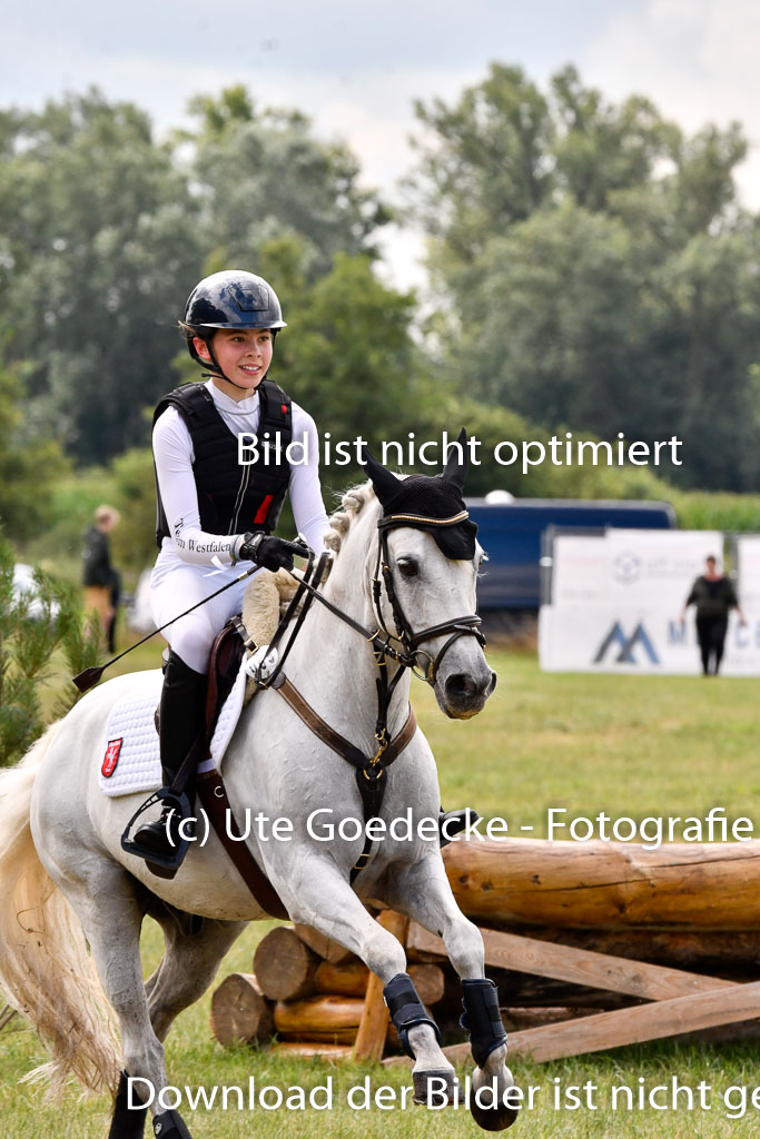 Goldene Schärpe Ponys in Hohenberg Krusemark 2024 | 13072024 Gelände 1 Abt_717