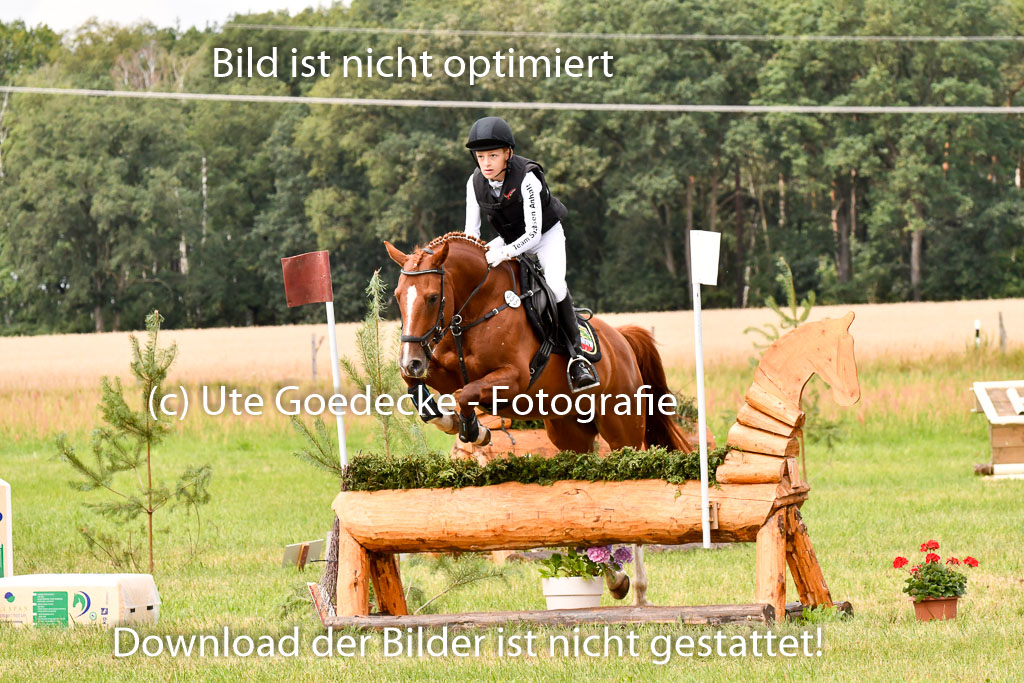 Goldene Schärpe Ponys in Hohenberg Krusemark 2024 | 13072024 Gelände 1 Abt_722