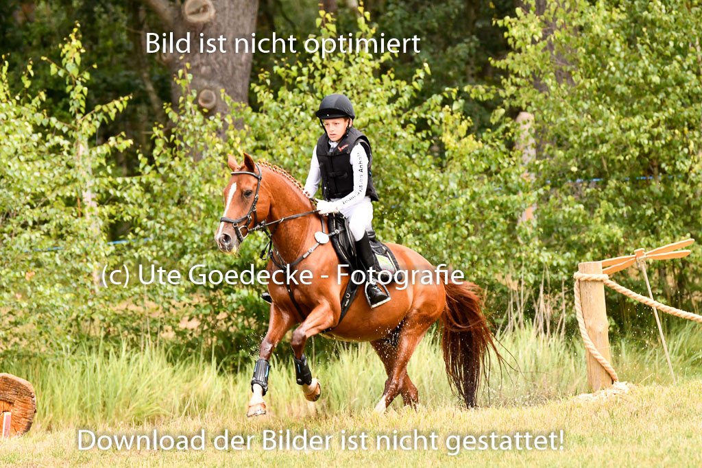 Goldene Schärpe Ponys in Hohenberg Krusemark 2024 | 13072024 Gelände 1 Abt_723