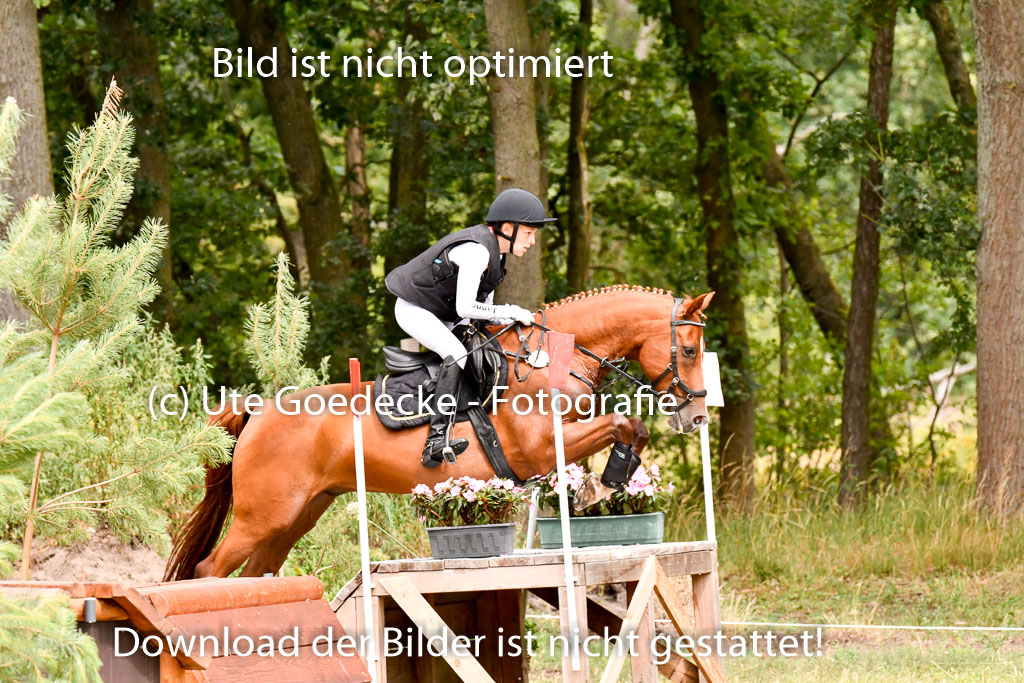 Goldene Schärpe Ponys in Hohenberg Krusemark 2024 | 13072024 Gelände 1 Abt_725
