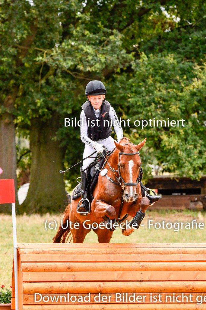 Goldene Schärpe Ponys in Hohenberg Krusemark 2024 | 13072024 Gelände 1 Abt_726