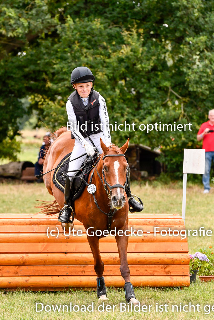 Goldene Schärpe Ponys in Hohenberg Krusemark 2024 | 13072024 Gelände 1 Abt_727