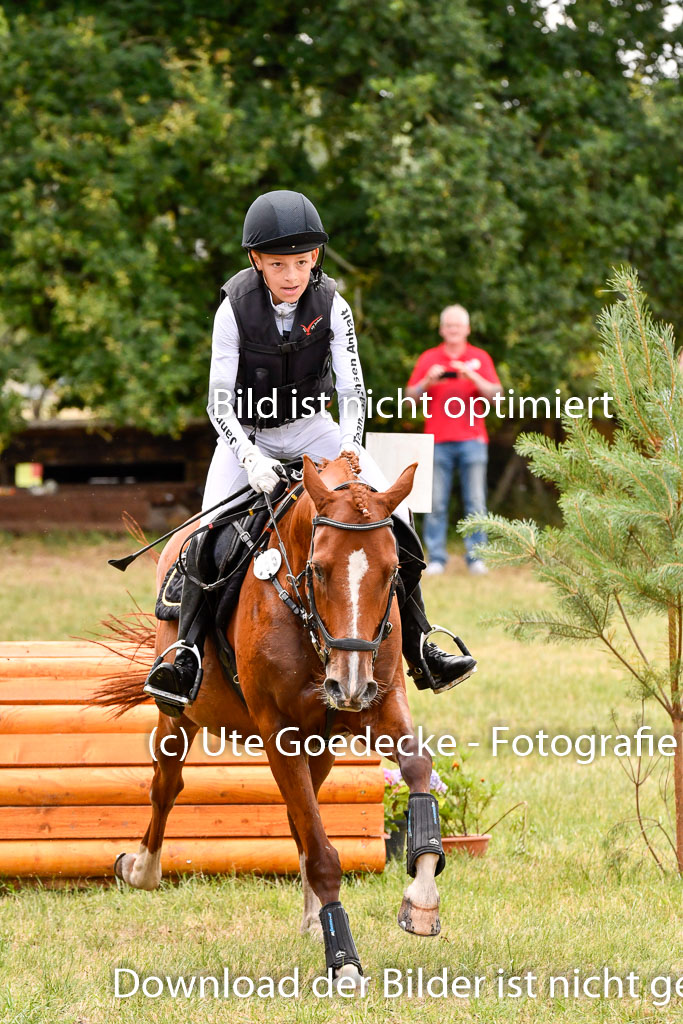Goldene Schärpe Ponys in Hohenberg Krusemark 2024 | 13072024 Gelände 1 Abt_728