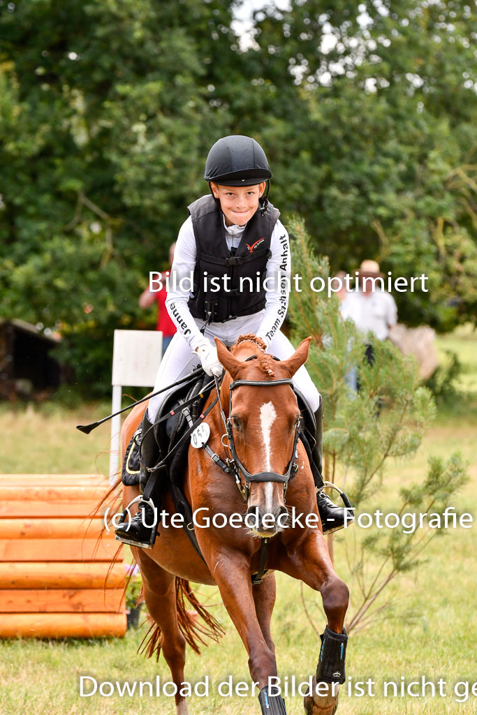 Goldene Schärpe Ponys in Hohenberg Krusemark 2024 | 13072024 Gelände 1 Abt_729