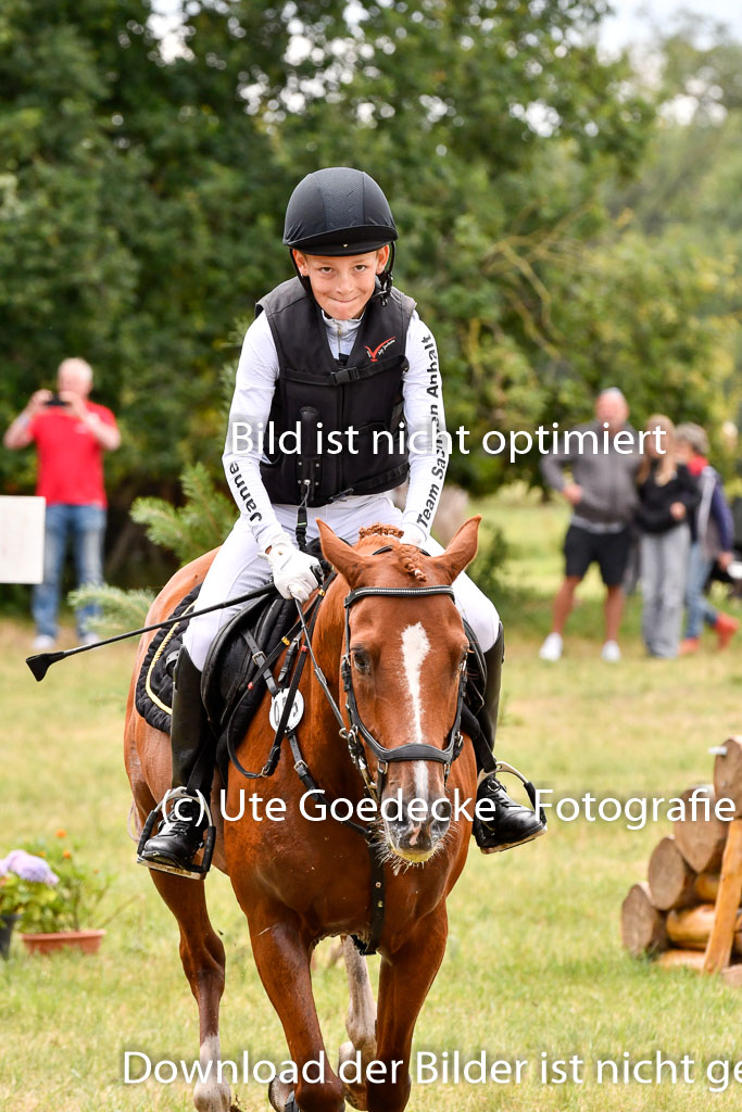Goldene Schärpe Ponys in Hohenberg Krusemark 2024 | 13072024 Gelände 1 Abt_730