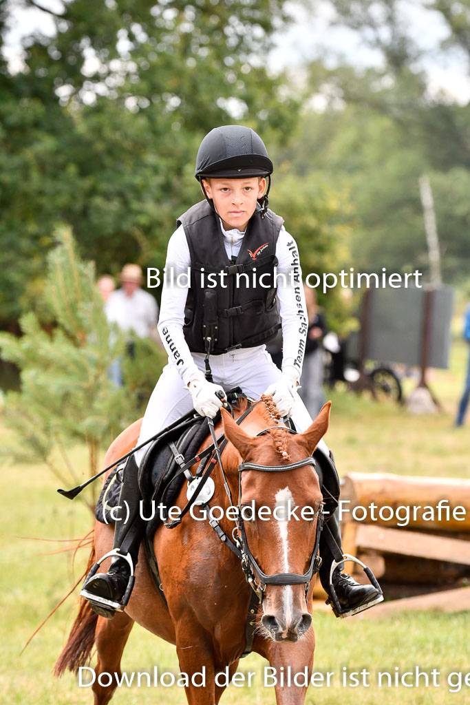Goldene Schärpe Ponys in Hohenberg Krusemark 2024 | 13072024 Gelände 1 Abt_731
