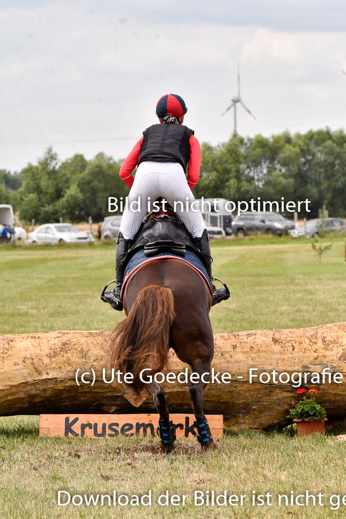 Goldene Schärpe Ponys in Hohenberg Krusemark 2024 | 13072024 Gelände 1 Abt_732