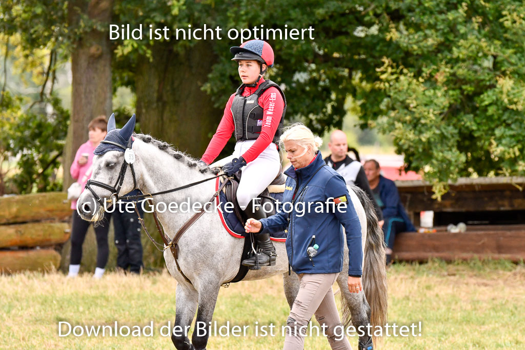 Goldene Schärpe Ponys in Hohenberg Krusemark 2024 | 13072024 Gelände 1 Abt_733