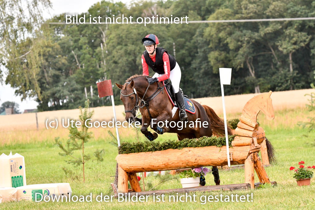 Goldene Schärpe Ponys in Hohenberg Krusemark 2024 | 13072024 Gelände 1 Abt_734