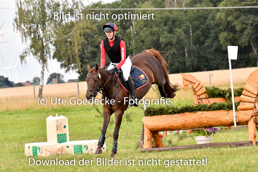 Goldene Schärpe Ponys in Hohenberg Krusemark 2024 | 13072024 Gelände 1 Abt_735