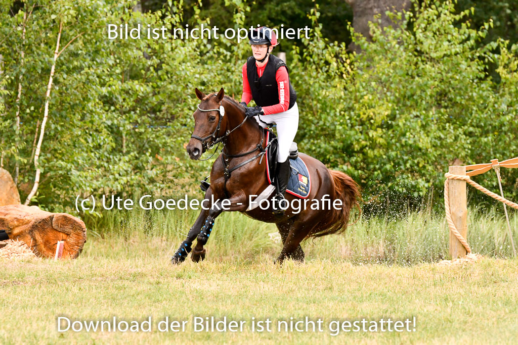 Goldene Schärpe Ponys in Hohenberg Krusemark 2024 | 13072024 Gelände 1 Abt_736