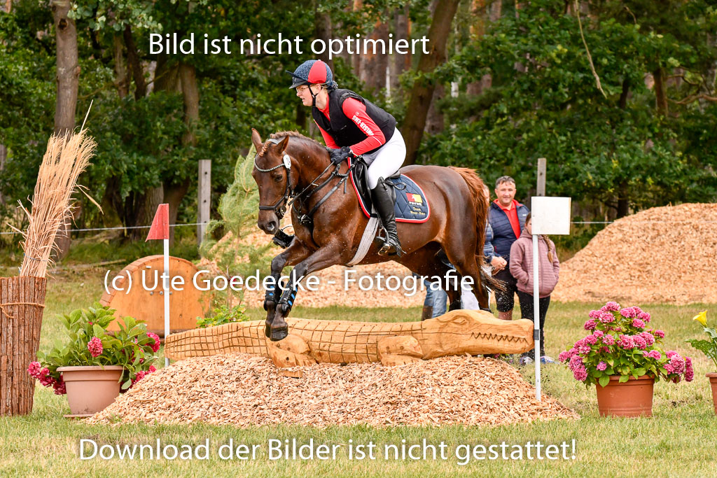 Goldene Schärpe Ponys in Hohenberg Krusemark 2024 | 13072024 Gelände 1 Abt_738