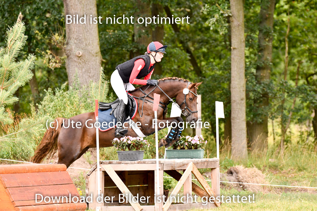 Goldene Schärpe Ponys in Hohenberg Krusemark 2024 | 13072024 Gelände 1 Abt_739