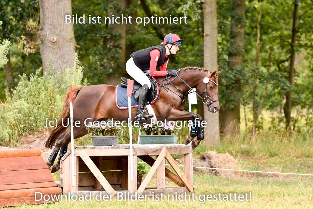 Goldene Schärpe Ponys in Hohenberg Krusemark 2024 | 13072024 Gelände 1 Abt_740