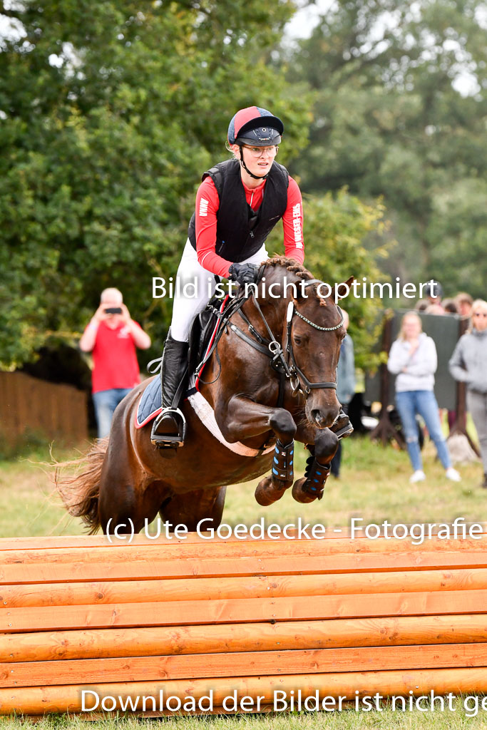 Goldene Schärpe Ponys in Hohenberg Krusemark 2024 | 13072024 Gelände 1 Abt_741