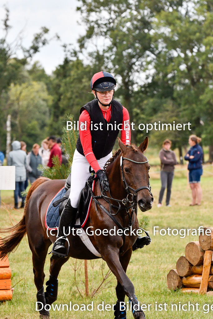 Goldene Schärpe Ponys in Hohenberg Krusemark 2024 | 13072024 Gelände 1 Abt_742