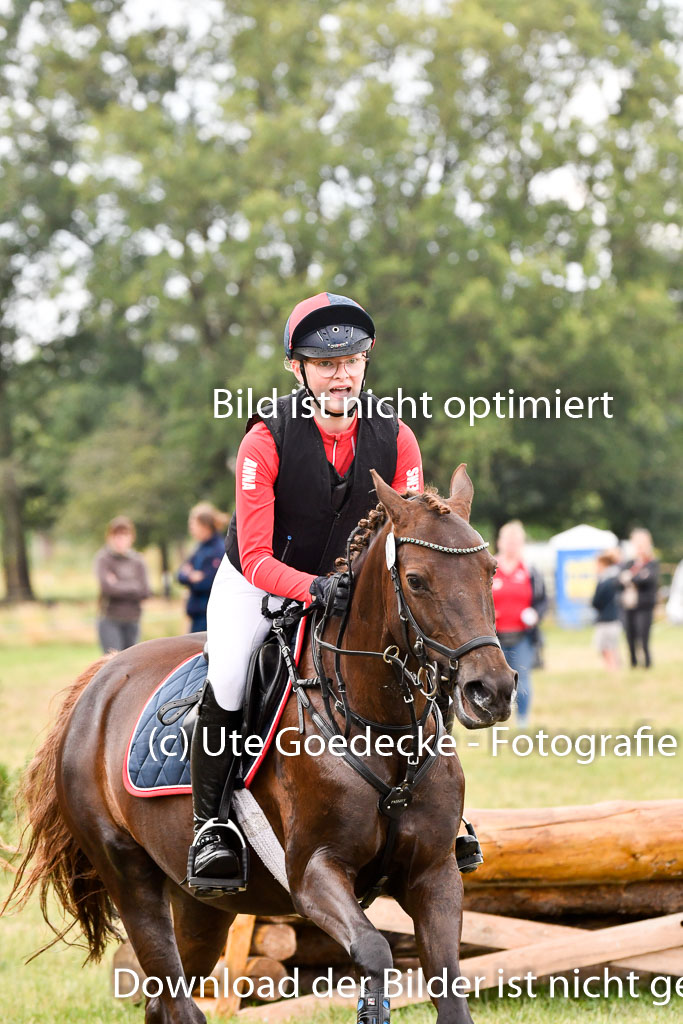 Goldene Schärpe Ponys in Hohenberg Krusemark 2024 | 13072024 Gelände 1 Abt_743
