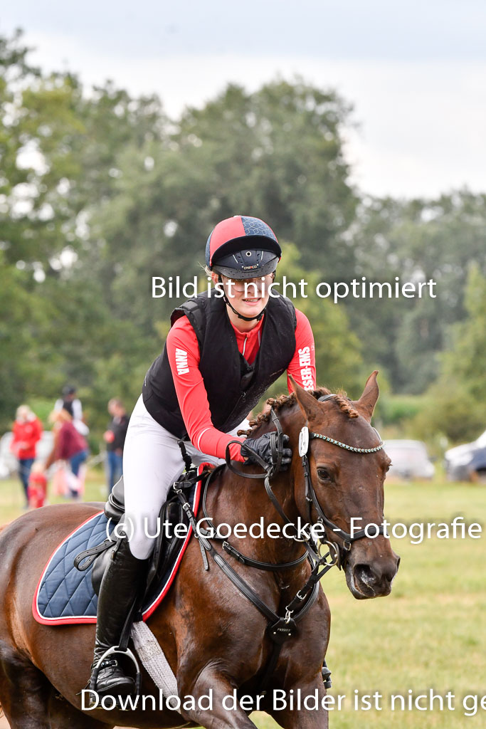 Goldene Schärpe Ponys in Hohenberg Krusemark 2024 | 13072024 Gelände 1 Abt_744