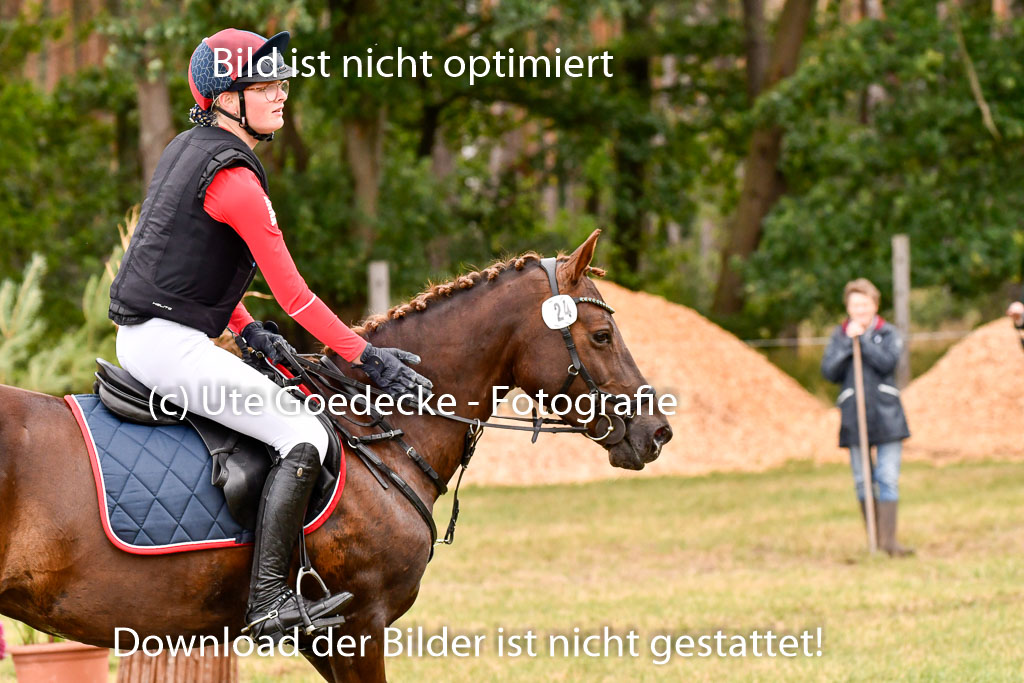 Goldene Schärpe Ponys in Hohenberg Krusemark 2024 | 13072024 Gelände 1 Abt_745