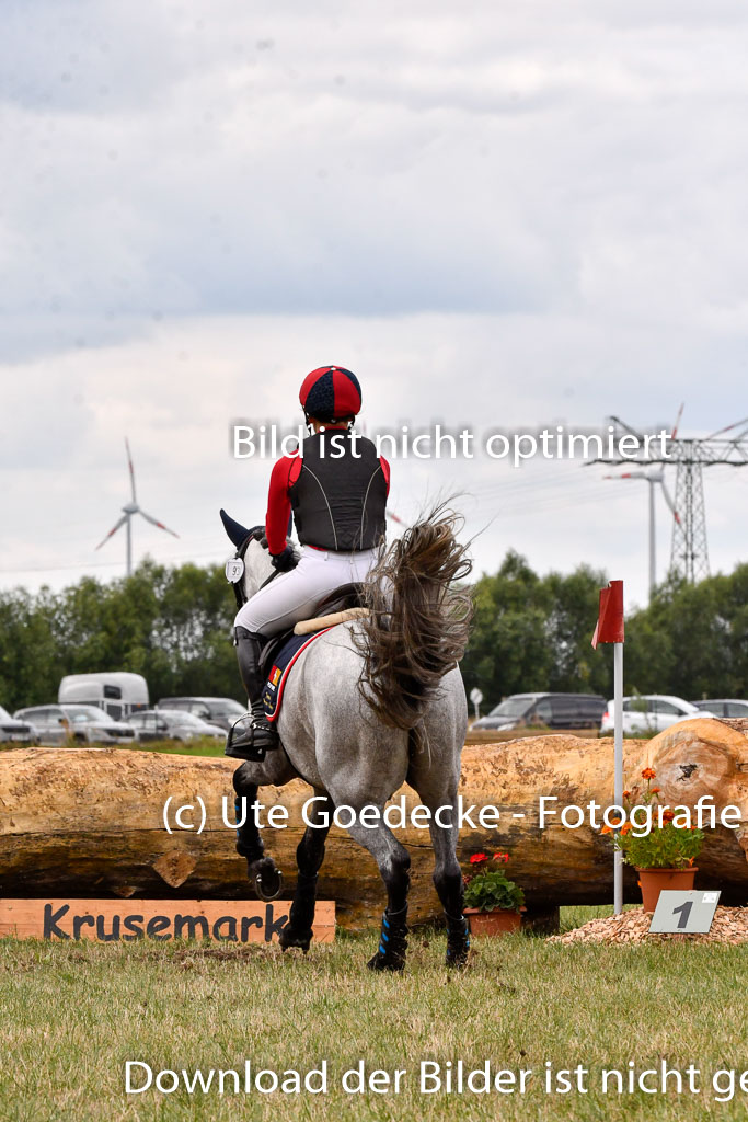 Goldene Schärpe Ponys in Hohenberg Krusemark 2024 | 13072024 Gelände 1 Abt_747