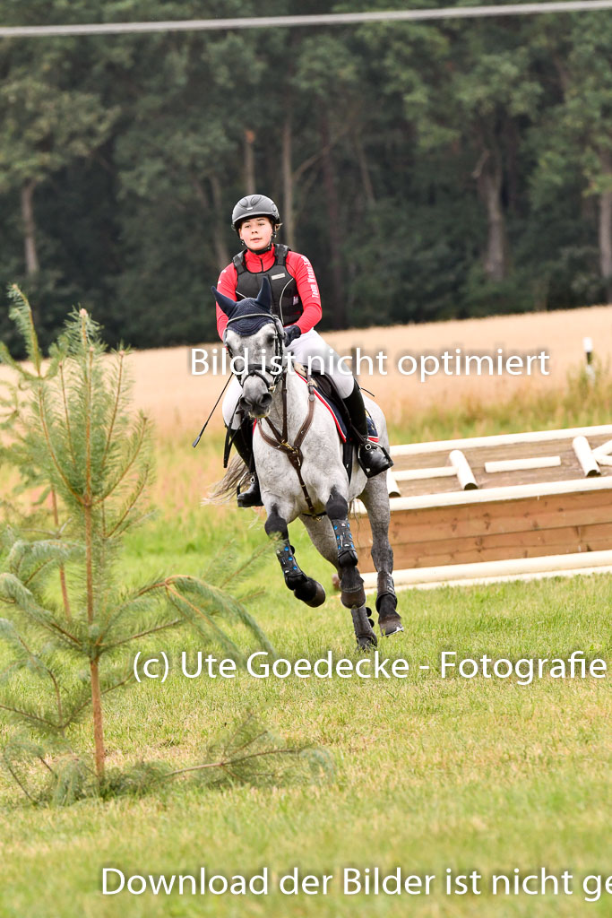 Goldene Schärpe Ponys in Hohenberg Krusemark 2024 | 13072024 Gelände 1 Abt_748