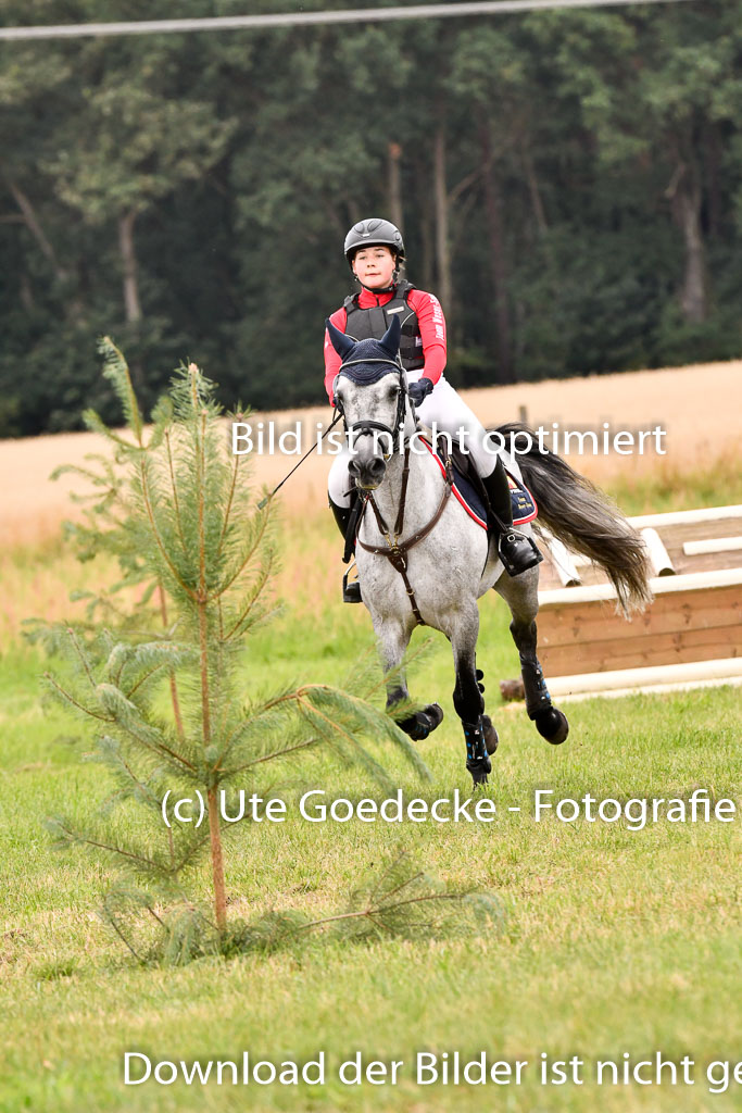 Goldene Schärpe Ponys in Hohenberg Krusemark 2024 | 13072024 Gelände 1 Abt_749