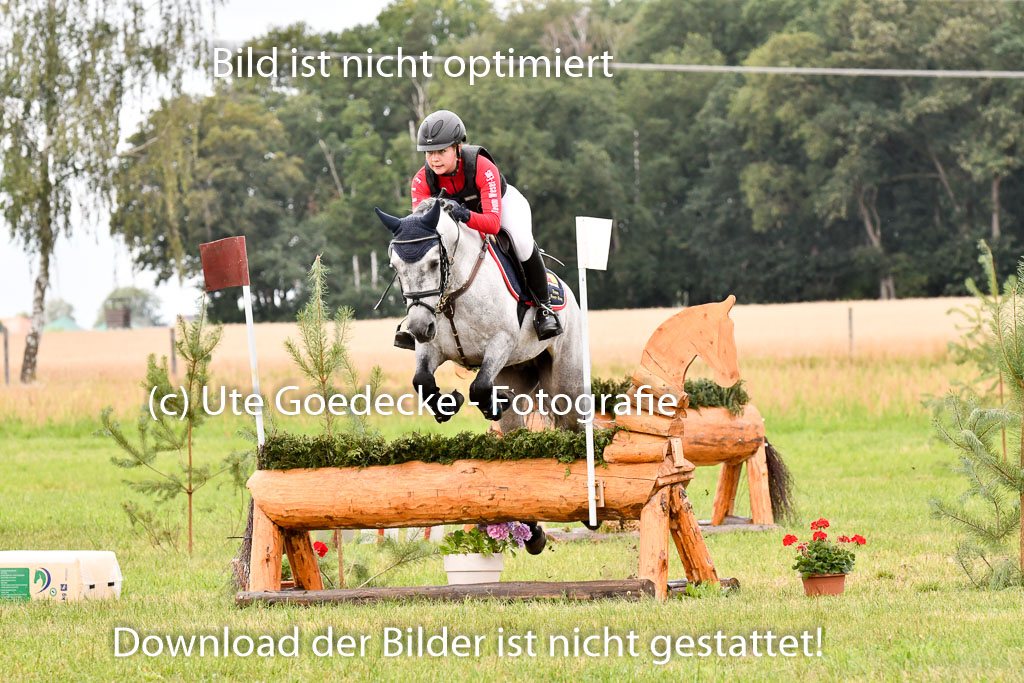 Goldene Schärpe Ponys in Hohenberg Krusemark 2024 | 13072024 Gelände 1 Abt_750