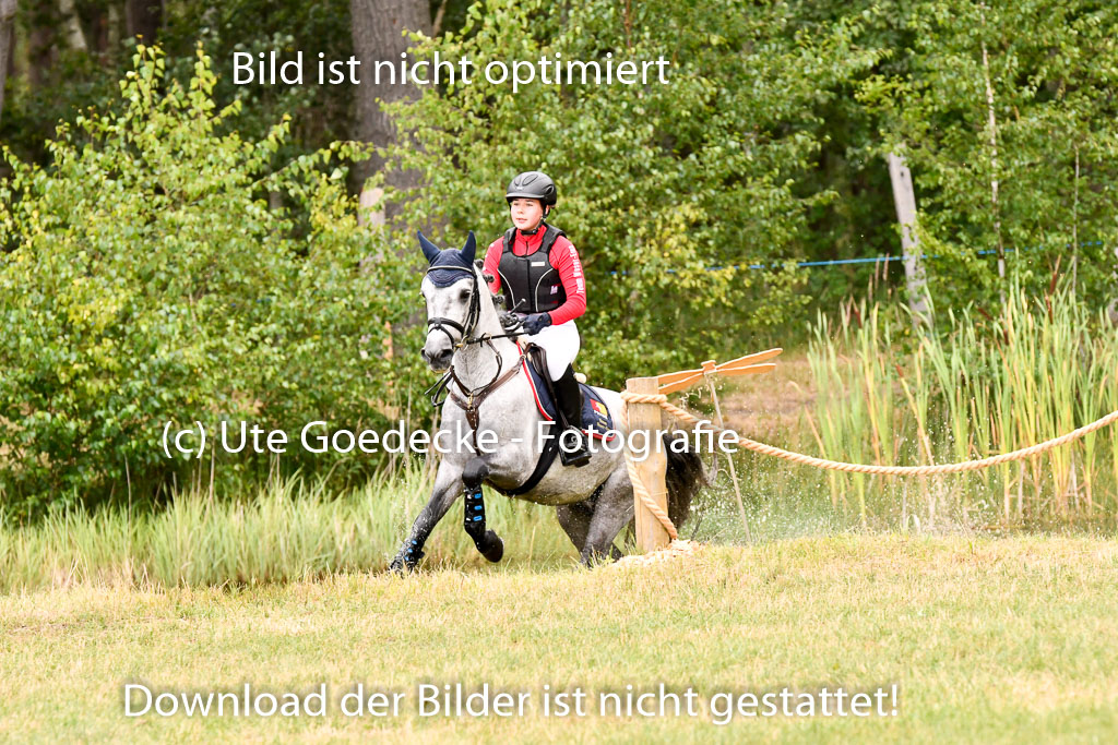 Goldene Schärpe Ponys in Hohenberg Krusemark 2024 | 13072024 Gelände 1 Abt_751
