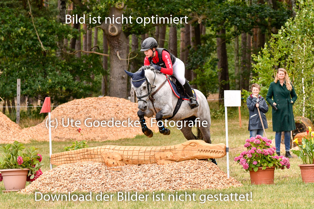 Goldene Schärpe Ponys in Hohenberg Krusemark 2024 | 13072024 Gelände 1 Abt_752
