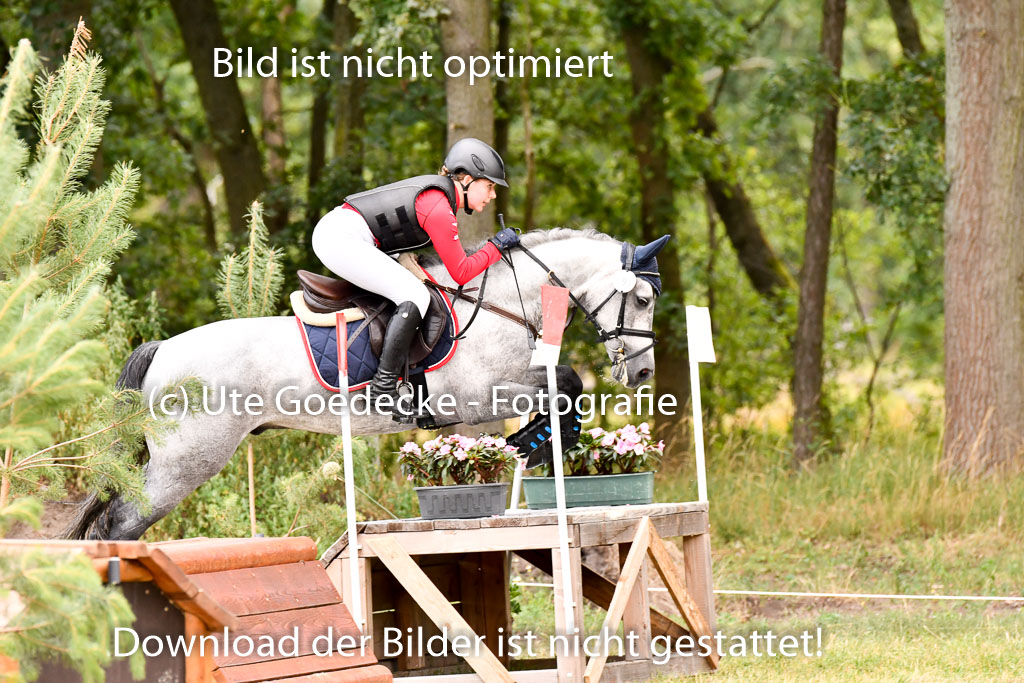 Goldene Schärpe Ponys in Hohenberg Krusemark 2024 | 13072024 Gelände 1 Abt_753