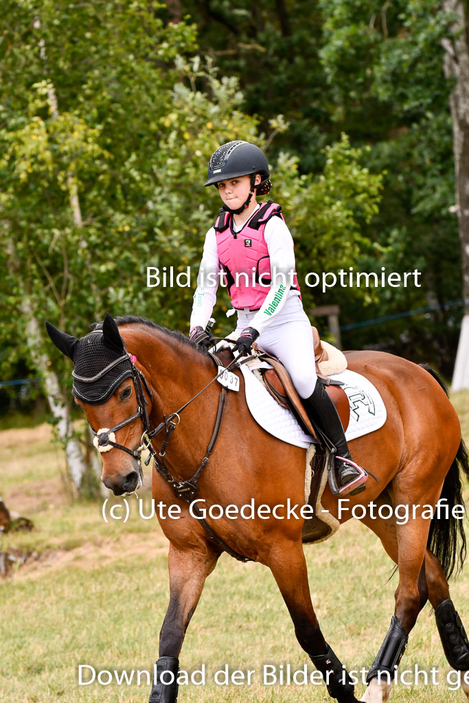 Goldene Schärpe Ponys in Hohenberg Krusemark 2024 | 13072024 Gelände 1 Abt_754