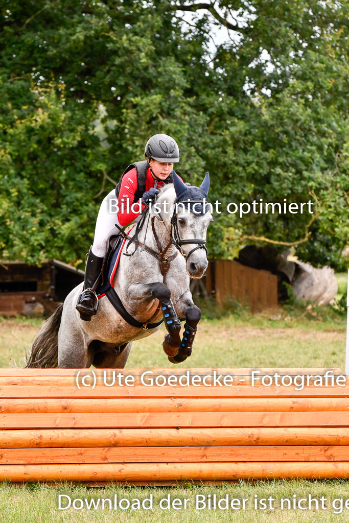 Goldene Schärpe Ponys in Hohenberg Krusemark 2024 | 13072024 Gelände 1 Abt_755
